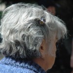 What Type of Differences We Can Find Between White Hair and Gray Hair?